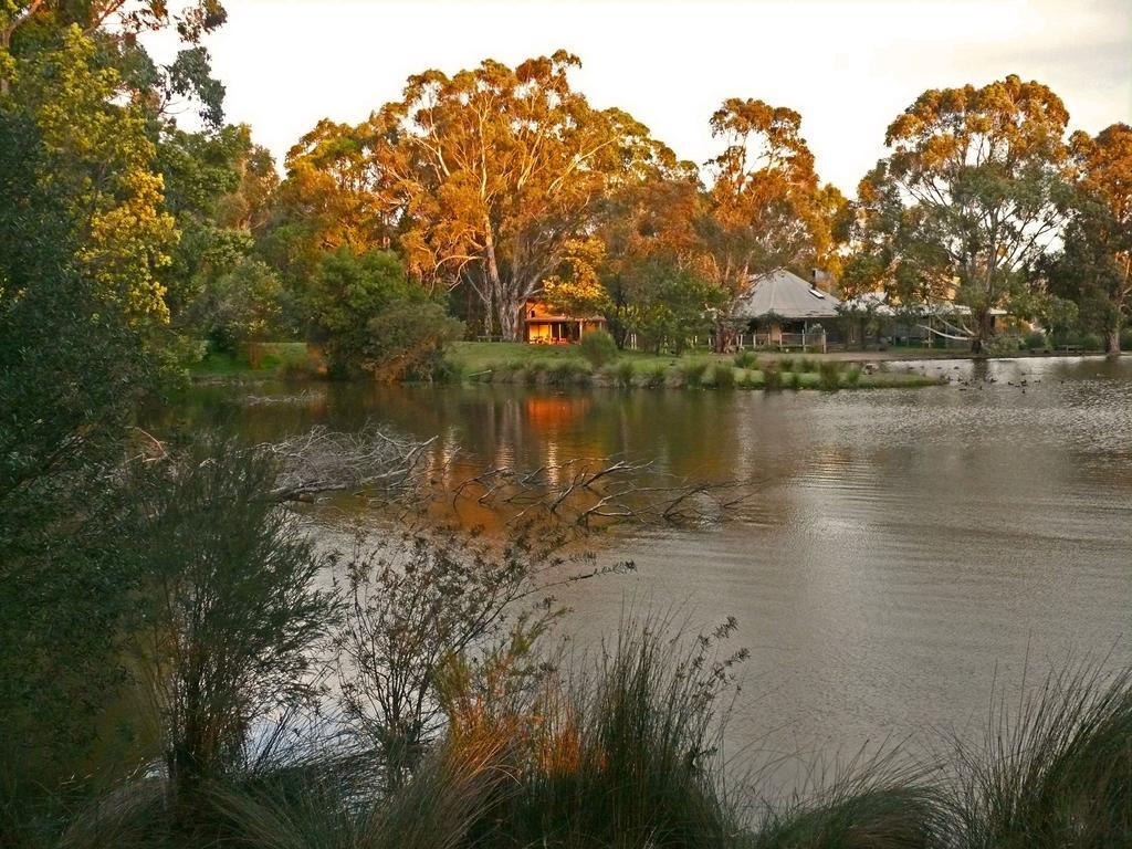 The Burrow At Wombat Bend Villa Dixons Creek Rom bilde