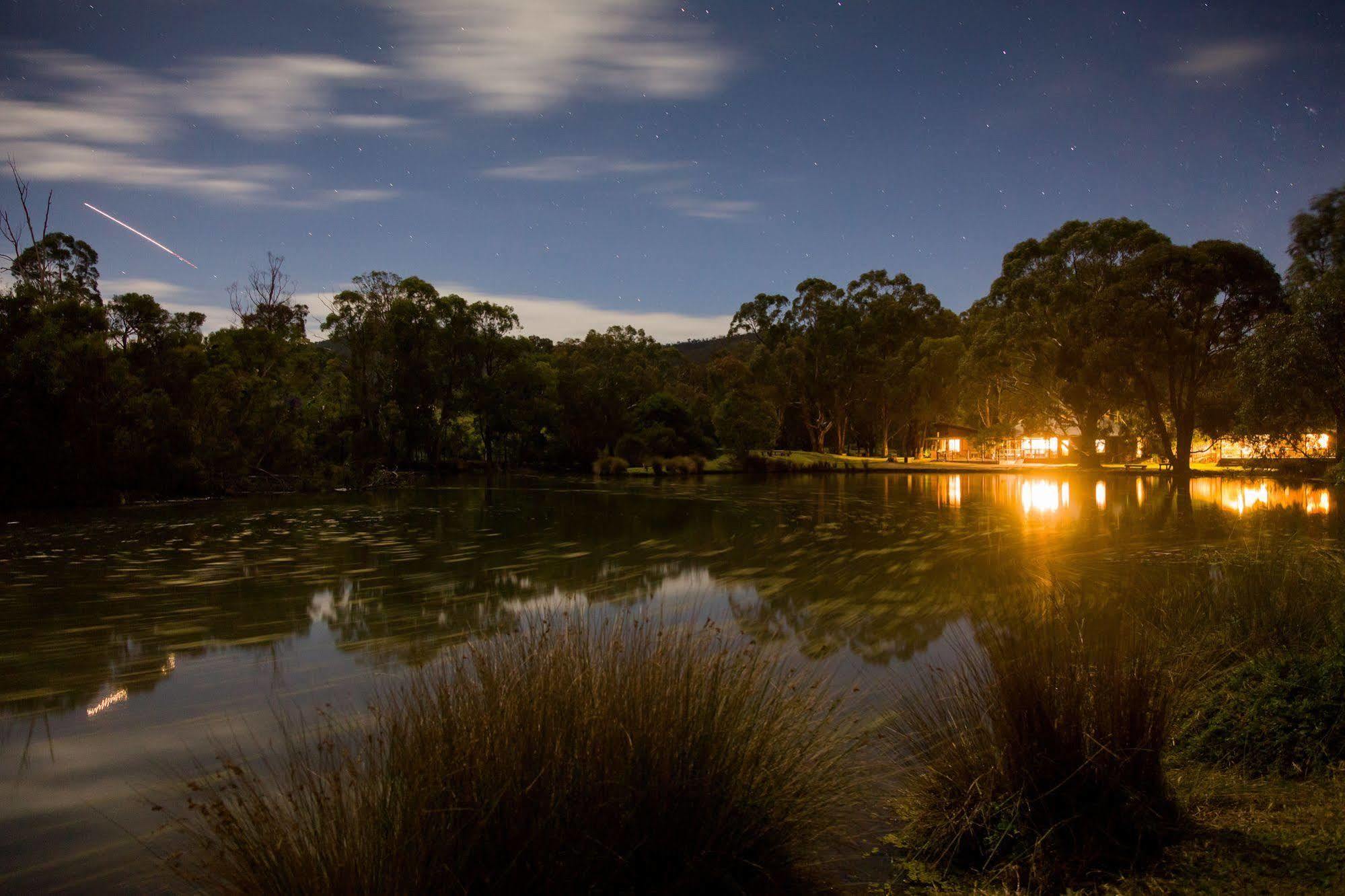 The Burrow At Wombat Bend Villa Dixons Creek Eksteriør bilde