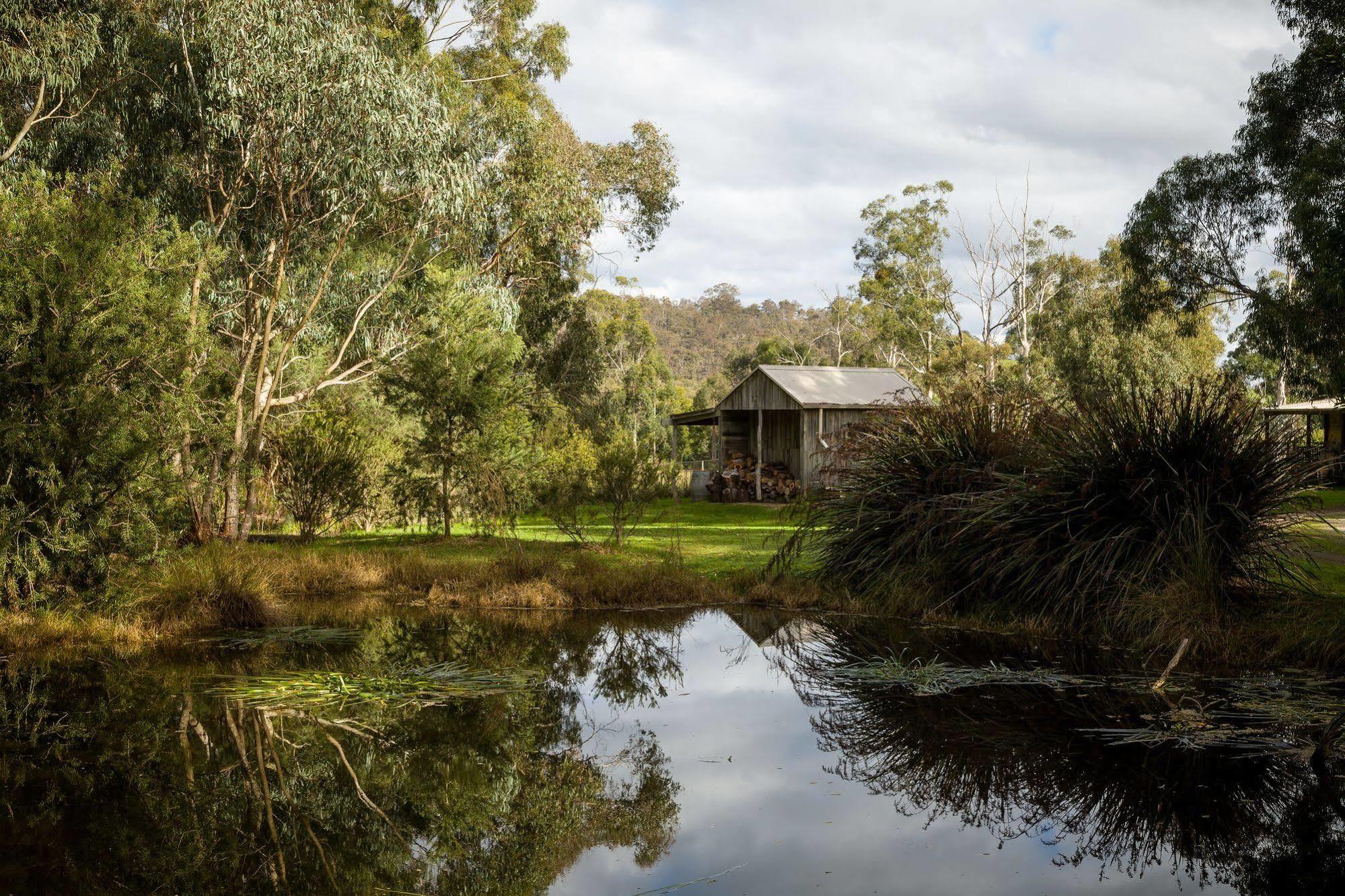 The Burrow At Wombat Bend Villa Dixons Creek Eksteriør bilde