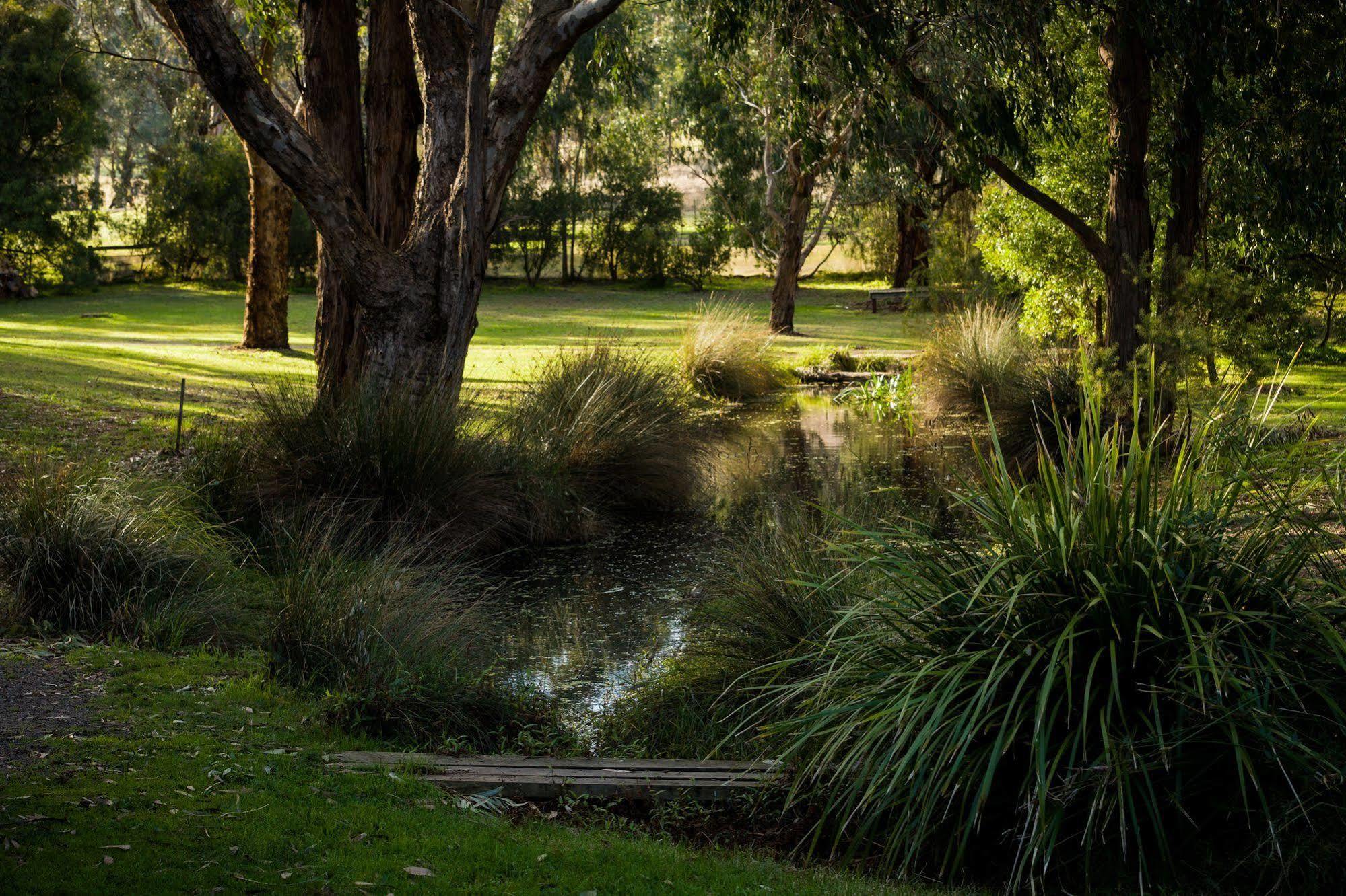 The Burrow At Wombat Bend Villa Dixons Creek Eksteriør bilde