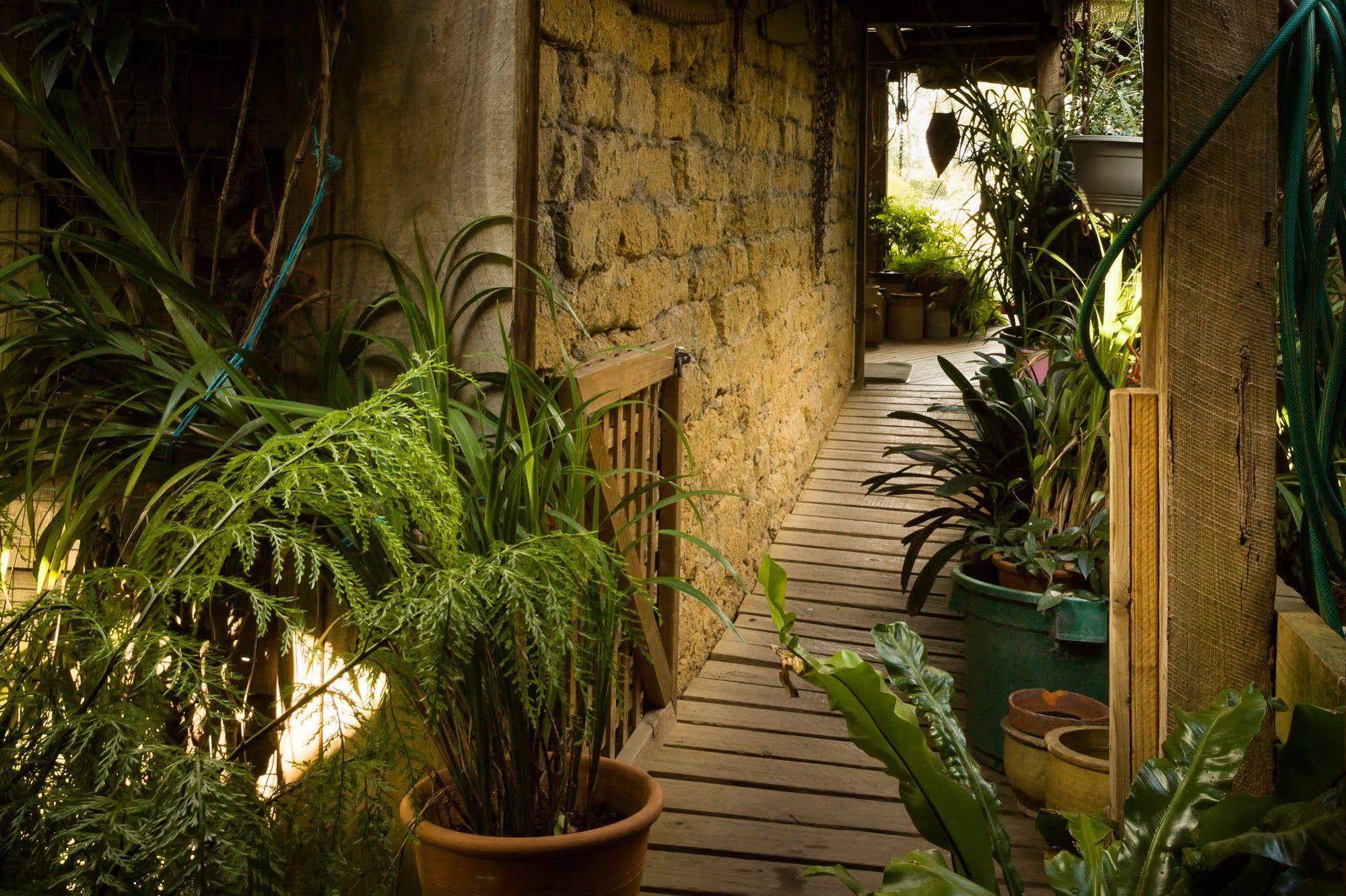 The Burrow At Wombat Bend Villa Dixons Creek Eksteriør bilde